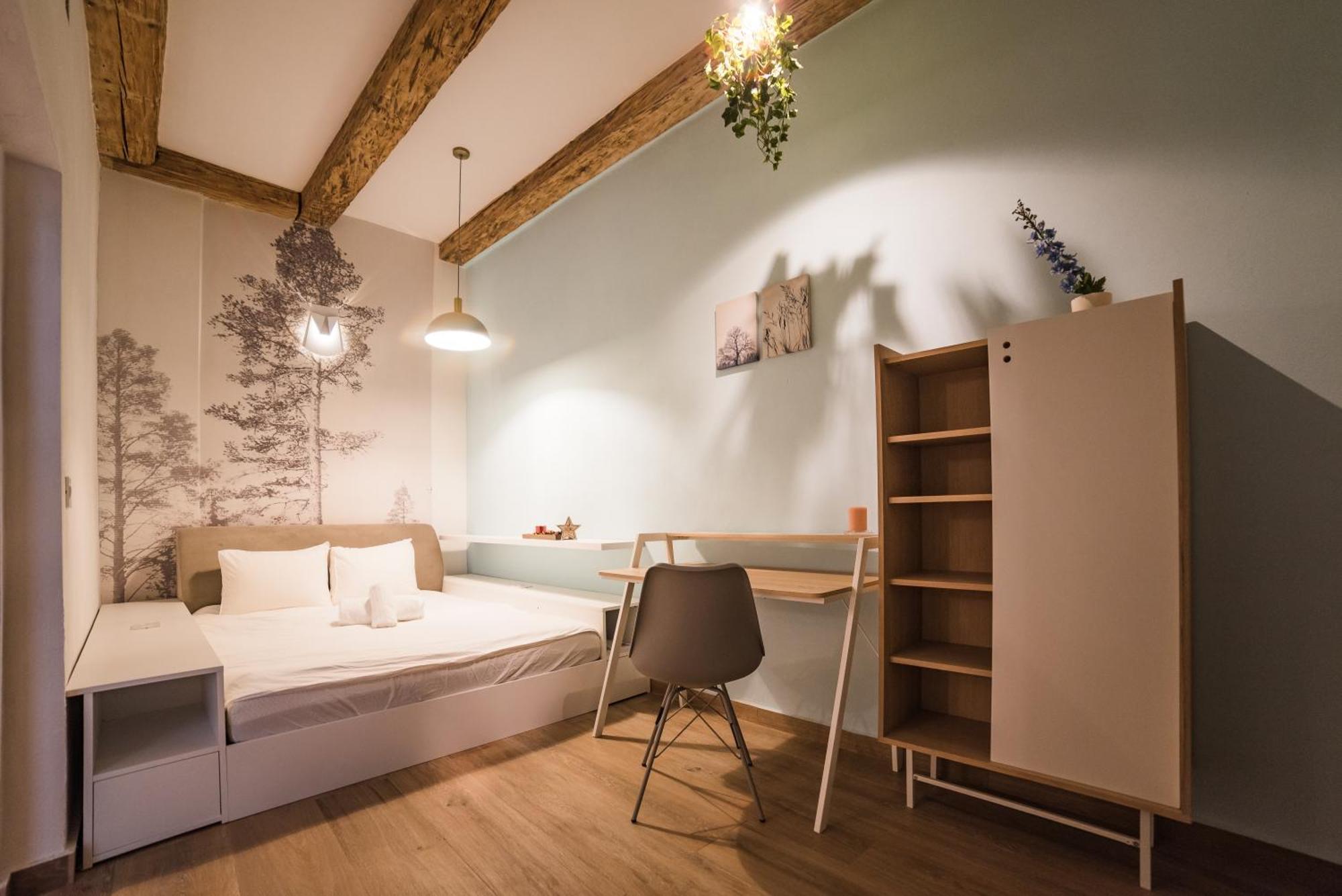 Casa Verde Brasov Flat 2 Buitenkant foto